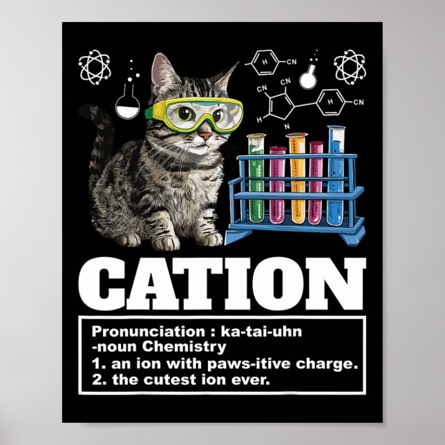 Cation Chemistry Humour Science Teacher Cat Pun Ca Poster (Front)