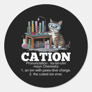 Cation Chemistry Humour Science Teacher Cat Pun Fu Classic Round Sticker