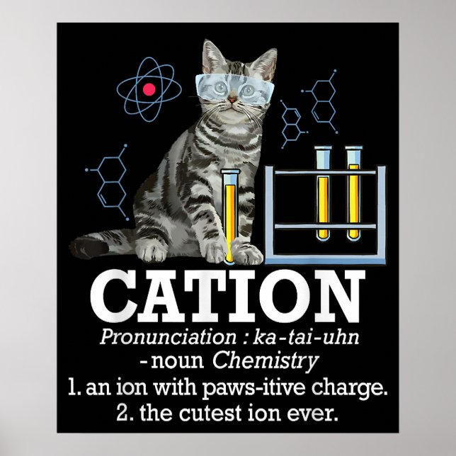 Cation Fun Chemistry Humour Science Teacher Cat Pu Poster (Front)