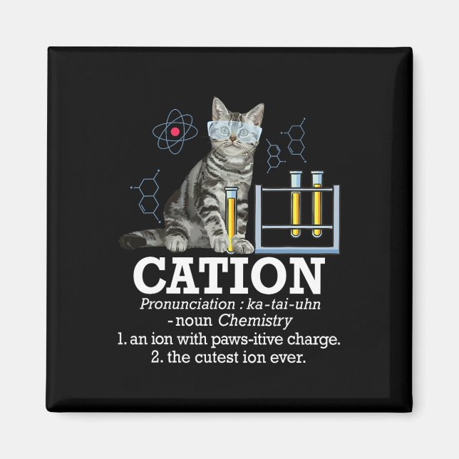 Cation - Funny Chemistry Humour Science Teacher Ca Magnet (Front)