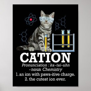 Cation - Funny Chemistry Humour Science Teacher Ca Poster