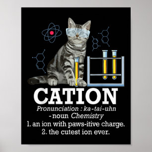 Cation - Funny Chemistry Humour Science Teacher Ca Poster