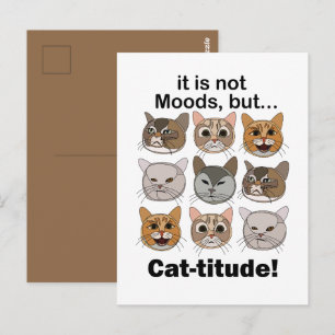 Catitude Cat Moods Cat Lovers Postcard