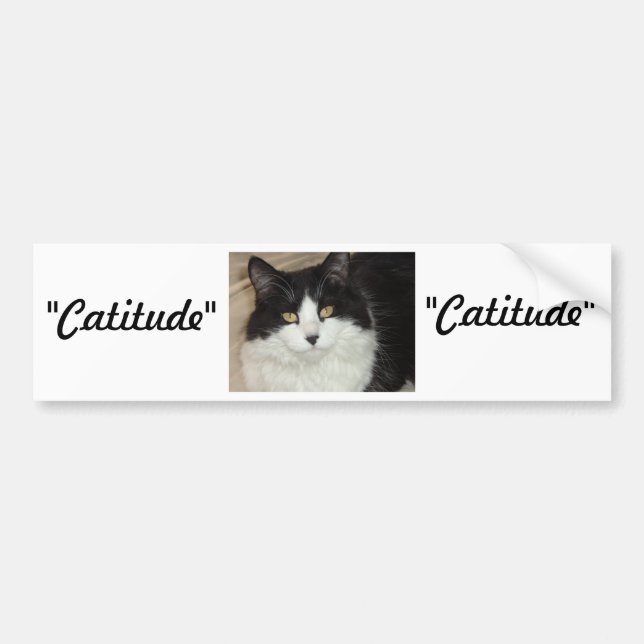 Catitude Cat with an Attitude Bumper Sticker (Front)