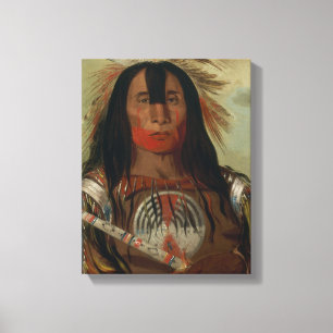 Catlin buffalo bull back fat canvas print