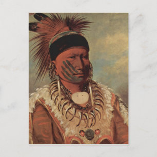 Catlin Native American Art Postcard