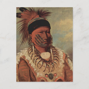 Catlin Native American Art Postcard