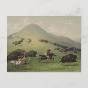 Catlin Native American Art Postcard