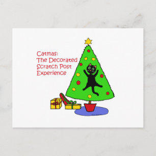 Catmas Experience Postcard