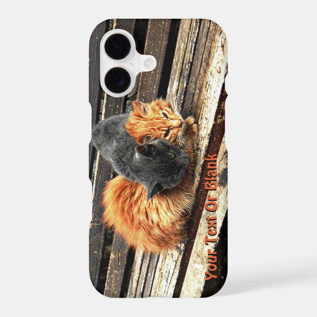 Catnap Cuties (Back)