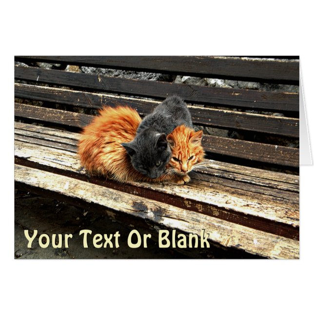 Catnap Cuties (Front Horizontal)