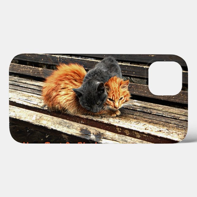 Catnap Cuties Case-Mate iPhone Case (Back (Horizontal))