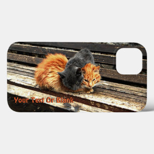 Catnap Cuties iPhone 13 Case