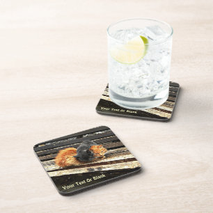 Catnap Cuties Coaster