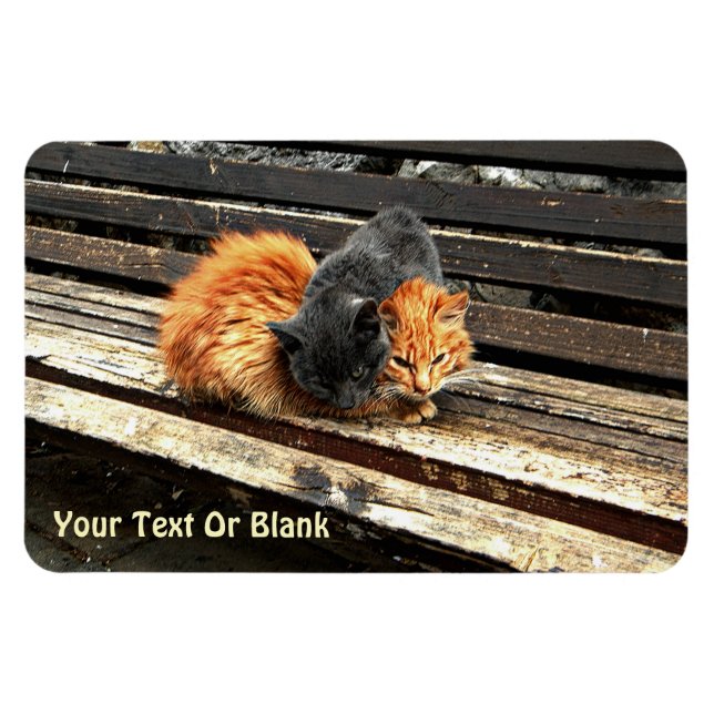 Catnap Cuties Magnet (Horizontal)