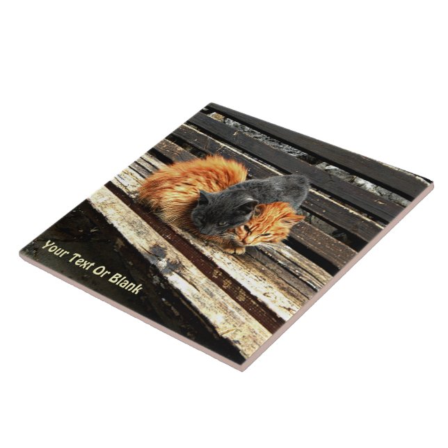 Catnap Cuties Tile (Side)