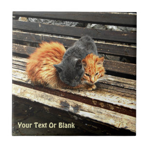 Catnap Cuties Tile