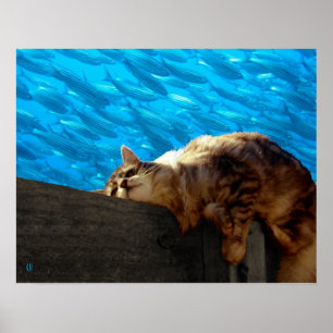 Catnap Fishing Poster