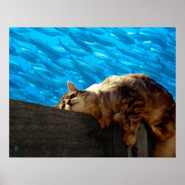 Catnap Fishing Poster (Front)