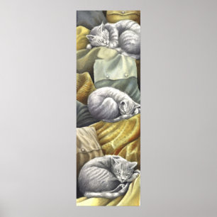catnap poster