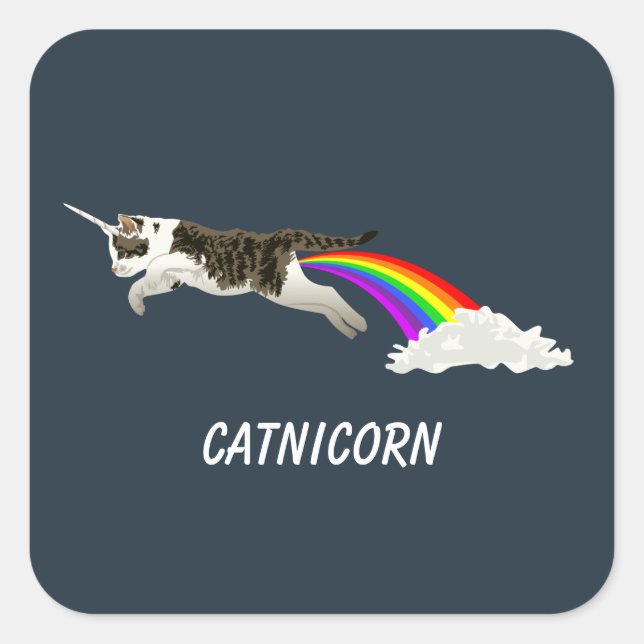 Catnicorn - I Poop Rainbow Square Sticker (Front)