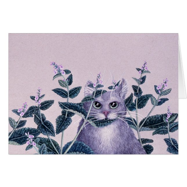 Catnip, by Darlene P. Coltrain (Front Horizontal)