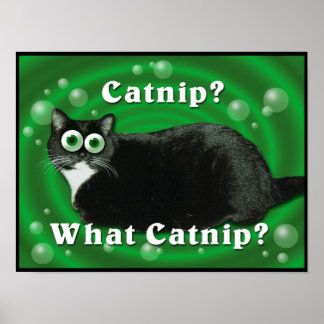 Catnip Kitty Poster