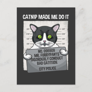 Catnip Made Me Do It Funny Cat Arrested Police Postcard
