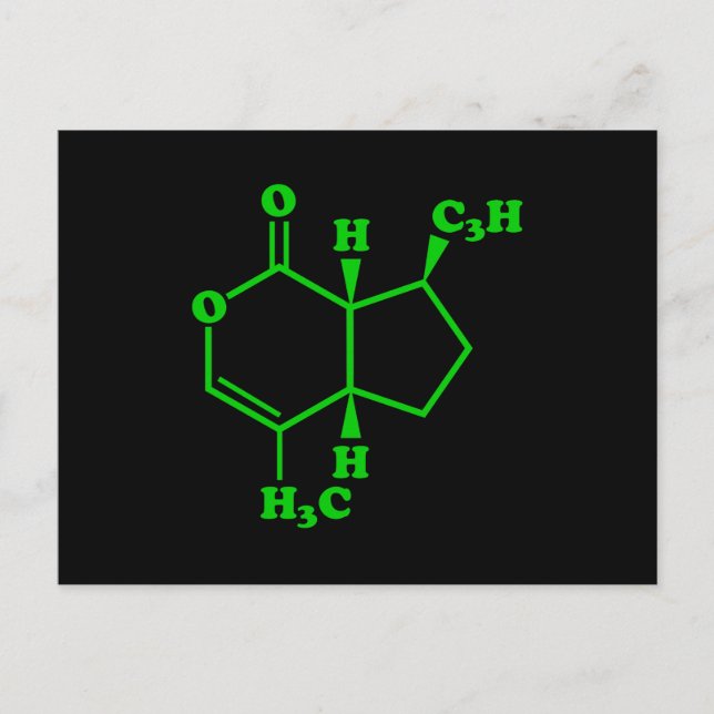 Catnip Nepetalactone Molecular Chemical Formula Postcard (Front)