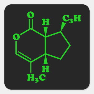 Catnip Nepetalactone Molecular Chemical Formula Square Sticker
