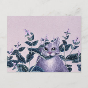 Catnip Postcard