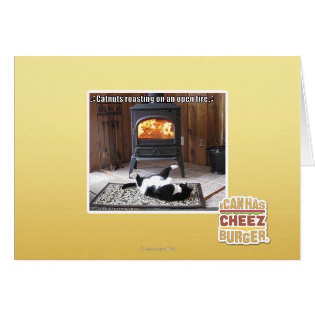 Catnuts roasting (Front Horizontal)