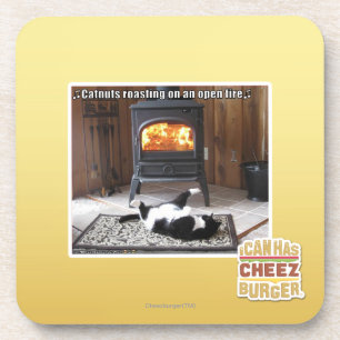 Catnuts roasting coaster