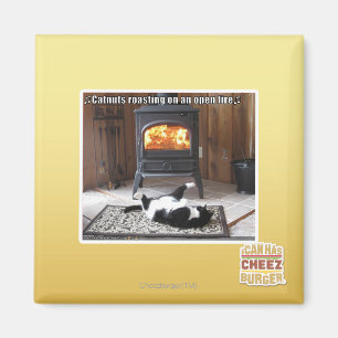 Catnuts roasting magnet
