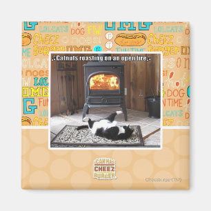 Catnuts roasting magnet
