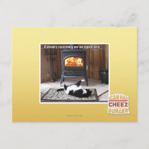 Catnuts roasting postcard