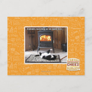 Catnuts roasting postcard