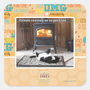 Catnuts roasting square sticker
