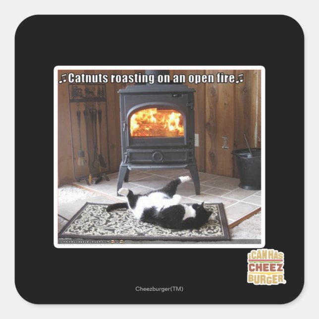 Catnuts roasting square sticker (Front)
