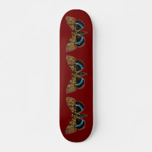 Catocala fraxini skateboard
