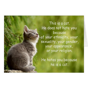 Cats