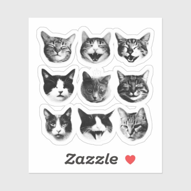 Cats (Sheet)