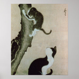 Cats, 17th century (ink on silk) poster