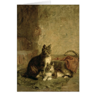 Cats, 1883