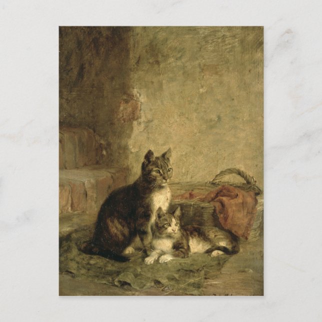 Cats, 1883 postcard (Front)