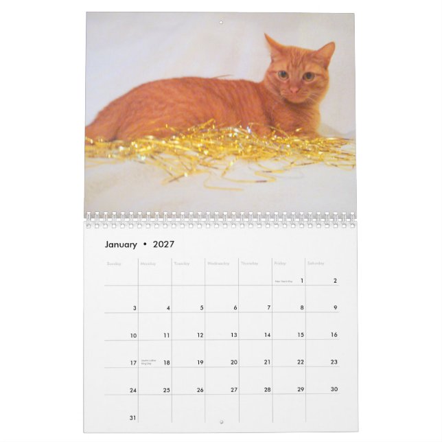 Cats 2011 Calendar (Jan 2027)