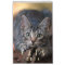 Cats 2014 - A Calendar for Cat Lovers