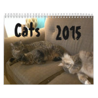 Cats 2015 Marlowe, Peepers & Gryphon