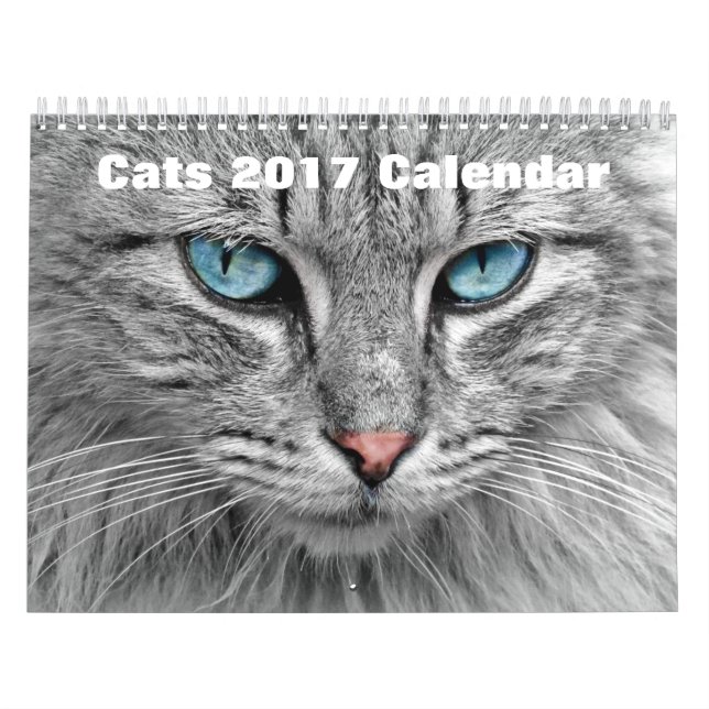 Cats 2017 calendar (Cover)