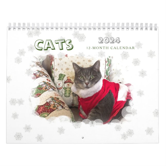 Cats 2024 Calendar (Cover)